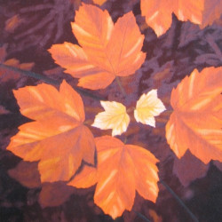 LEAVES III. - Maple in the...
