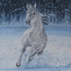 KONĚ 3. – Kůň ve sněhu