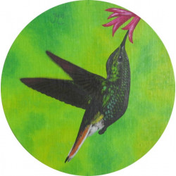 Kolibřík I.