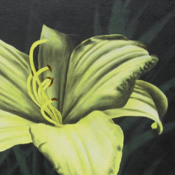 FLOWERS V. - Lemon Lily