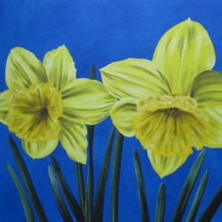 FLOWERS VIII. – Narcissus
