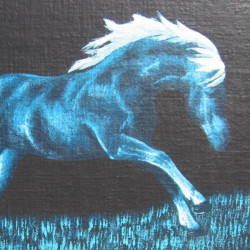 HORSES 24. - Sparkling Mane