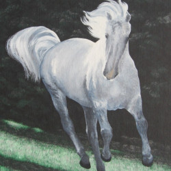 HORSES 29. - The silver Grass