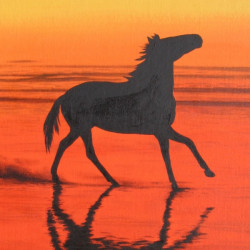 HORSES 38. - On the Beach