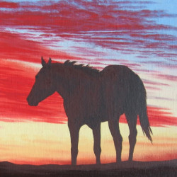HORSES 41. - Sun-set