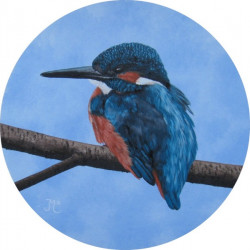 Kingfisher III.
