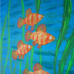 Several Golden Fishlets